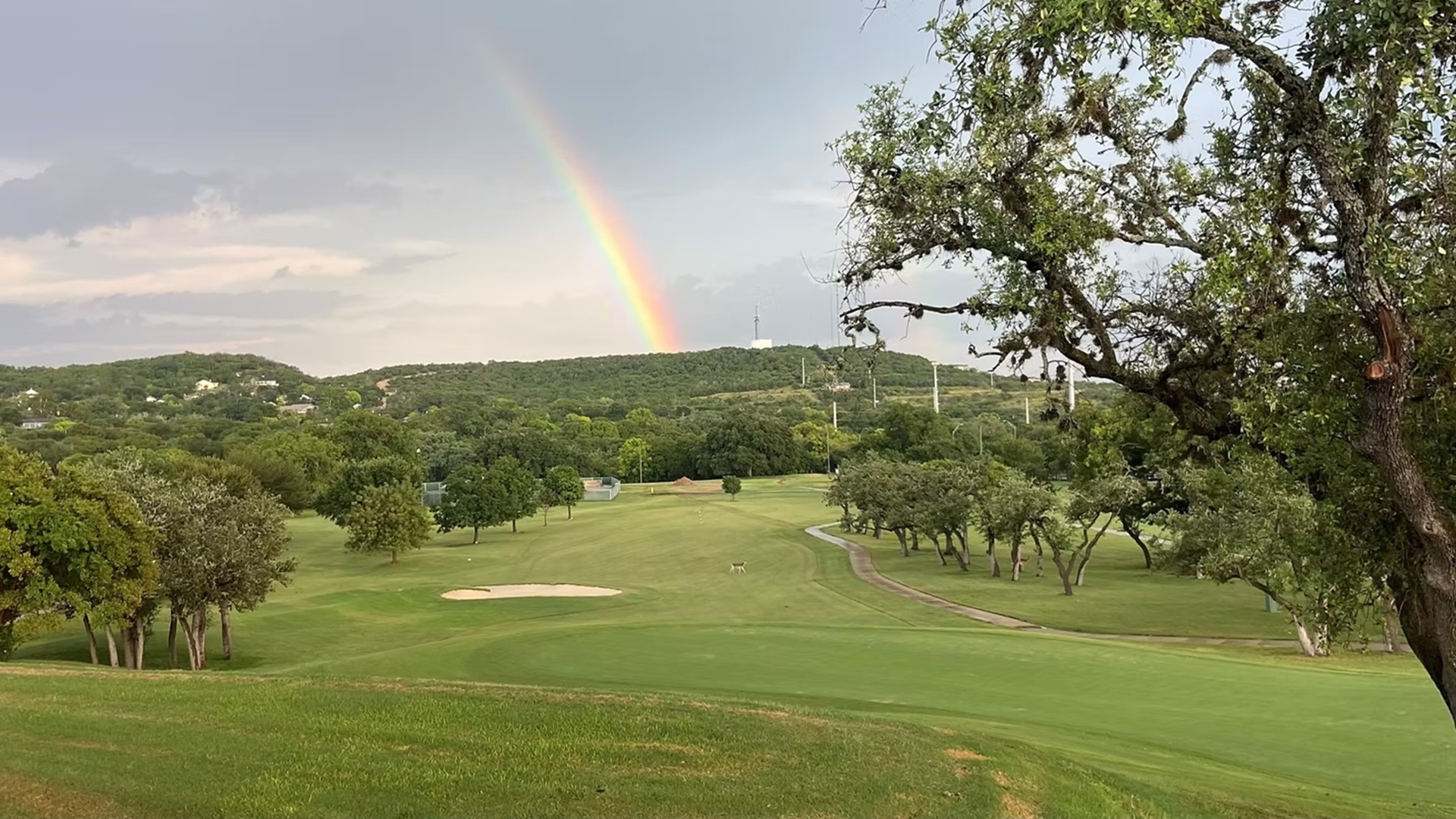 Heart of the Hills Golf Tournament at Scott Schreiner Golf Course