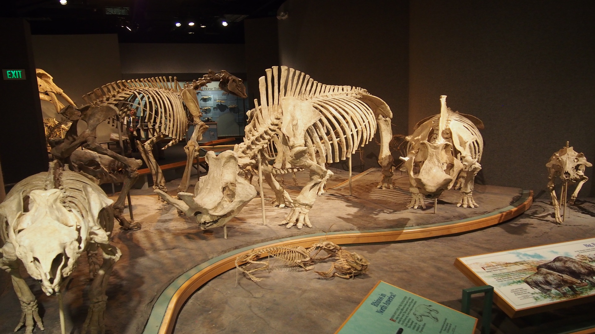 Prehistoric Journey Weekend at Yogi Bear’s Jellystone Park Guadalupe River