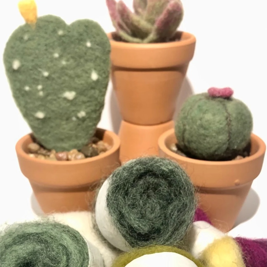 Needle Felting Cacti with Marti Swanson at The Rogue Skein