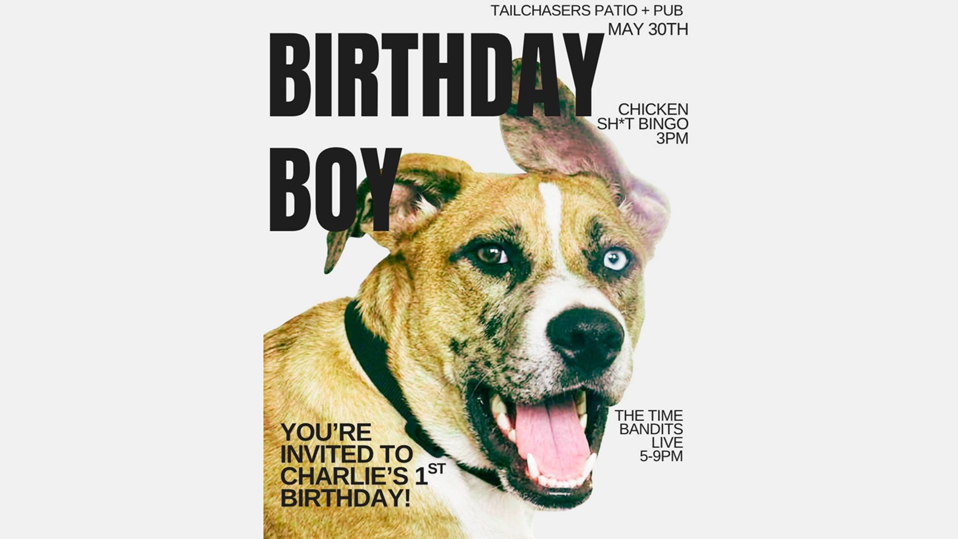 Charlie’s 1st Birthday Party at Tailchasers Patio + Pub