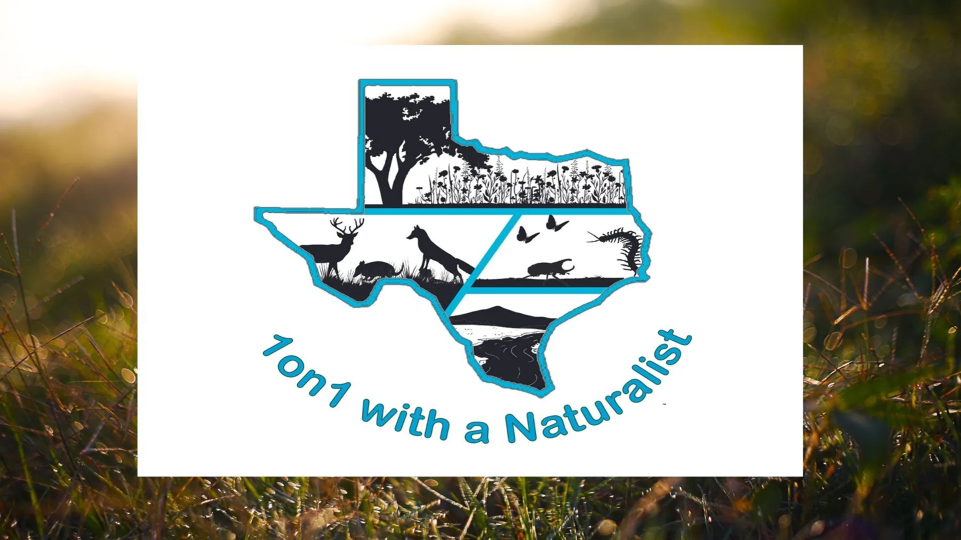1 on 1 with a Naturalist at Riverside Nature Center