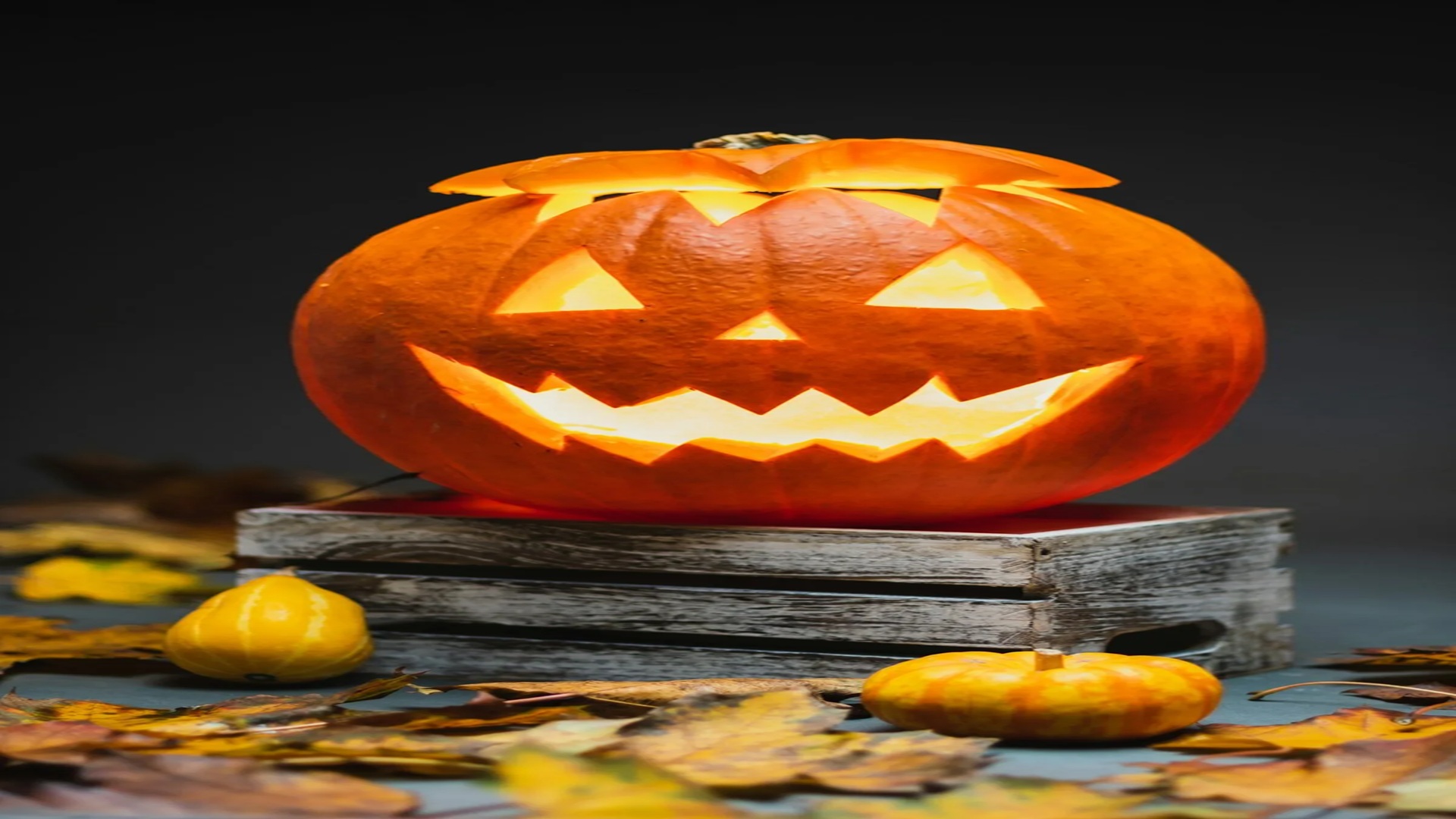 DIY Halloween Costumes at Riverside Nature Center