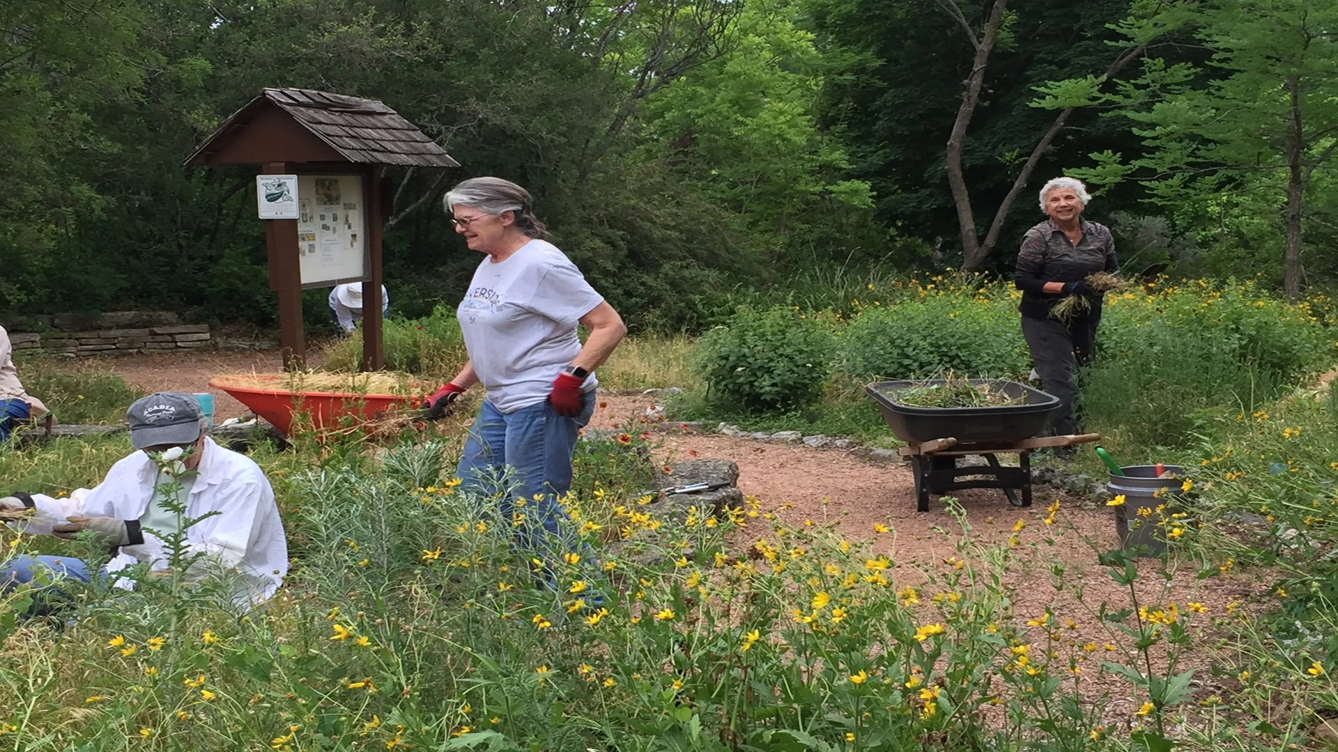 Meadow/Pollinator Garden Work Day at Riverside Nature Center