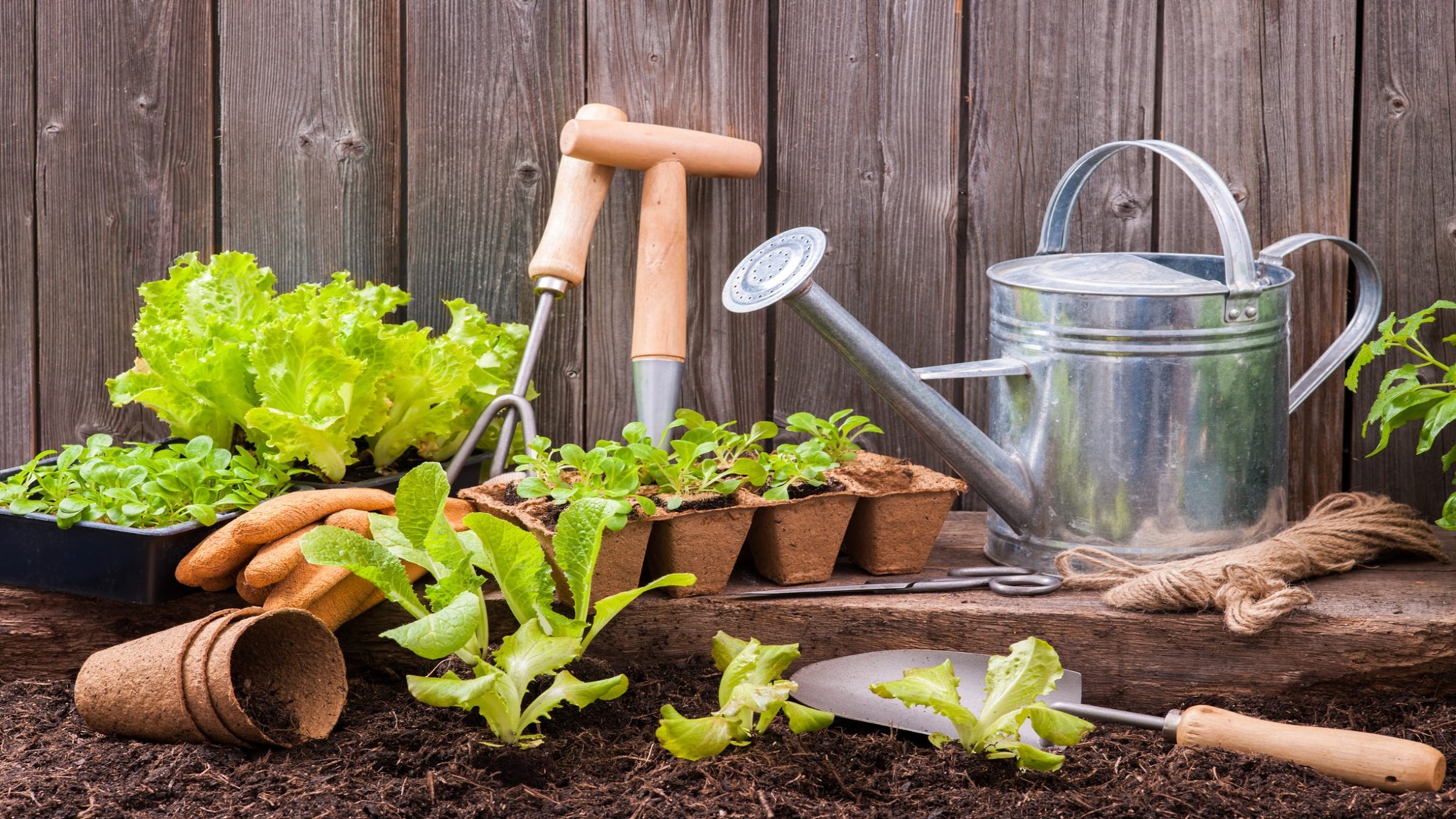 Gardening 101: Earth-Kind Gardening at Butt-Holdsworth Memorial Library